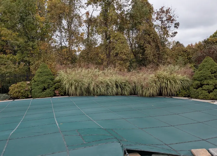 Overgrown ornamental grasses along a covered pool in fall before cleanup